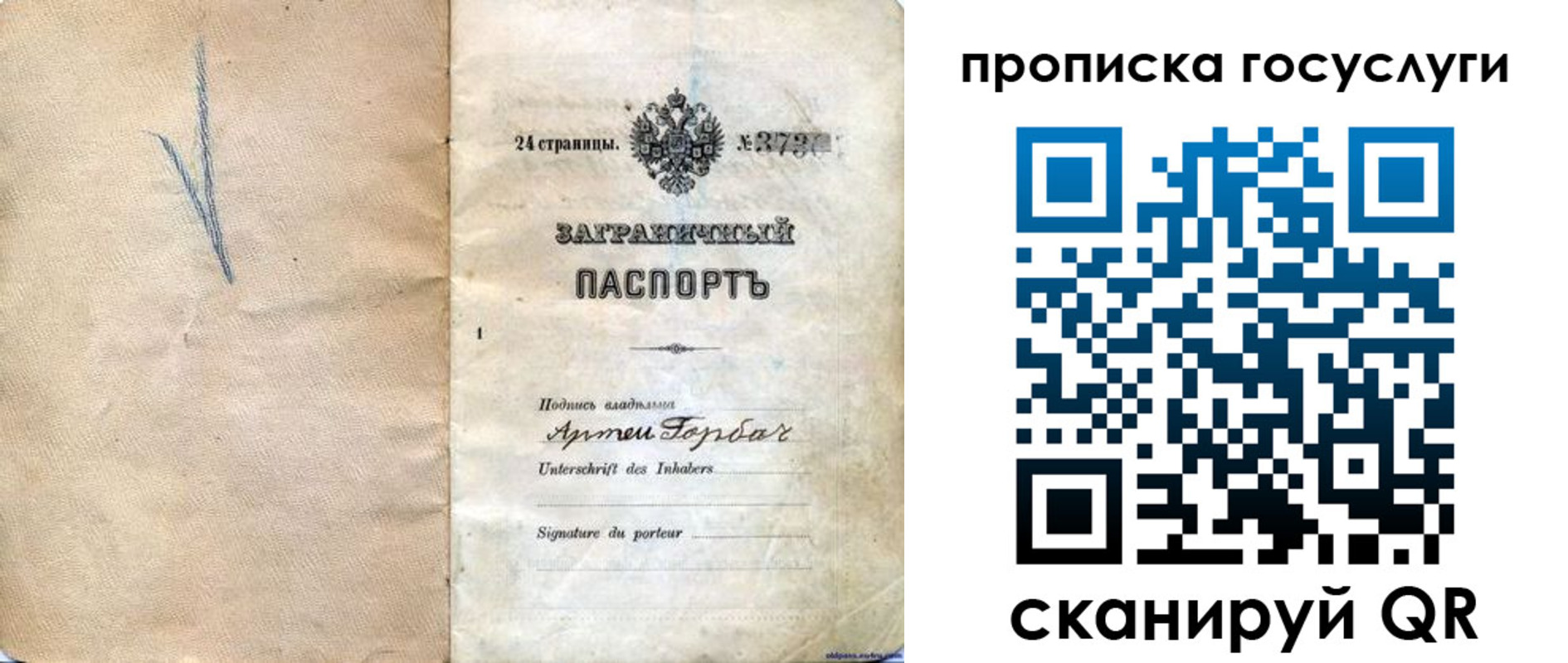 прописка законно в Вольске